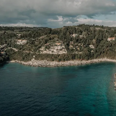 Family Affair By About Paxos * Tranakatika